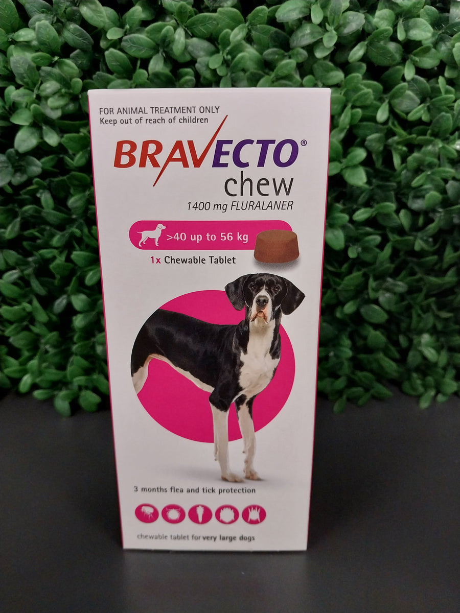 BRAVECTO TABLET XLGE DOG 40 56kg Pet Essentials Tauranga Online Pet Food