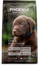 Load image into Gallery viewer, PHOENIX OCEAN FISH LARGE BREED PUPPY 13KG
