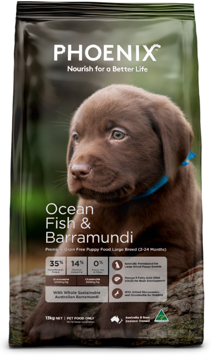 PHOENIX OCEAN FISH LARGE BREED PUPPY 13KG