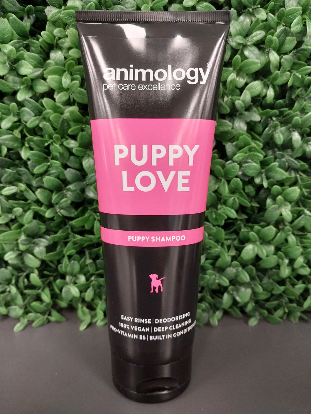 ANIMOLOGY PUPPY LOVE SHAMPOO 250ML