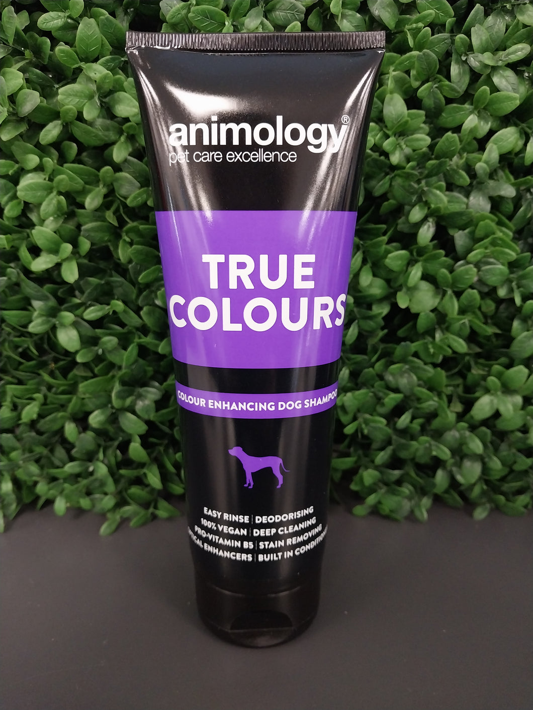 ANIMOLOGY TRUE COLOURS SHAMPOO 250ML