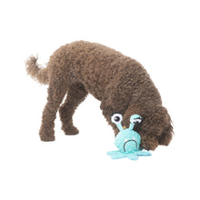 Load image into Gallery viewer, INDIE &amp; SCOUT PLUSH EYEBALL MONSTER
