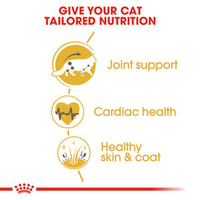 Load image into Gallery viewer, ROYAL CANIN MAINE COON CAT 2KG
