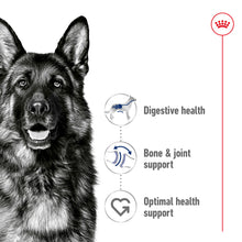 Load image into Gallery viewer, ROYAL CANIN MAXI ADULT DOG 15KG

