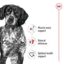 Load image into Gallery viewer, ROYAL CANIN MEDIUM ADULT DOG 4KG
