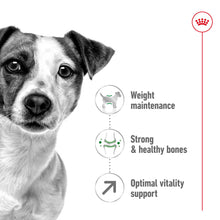 Load image into Gallery viewer, ROYAL CANIN MINI ADULT 8+ 2kg
