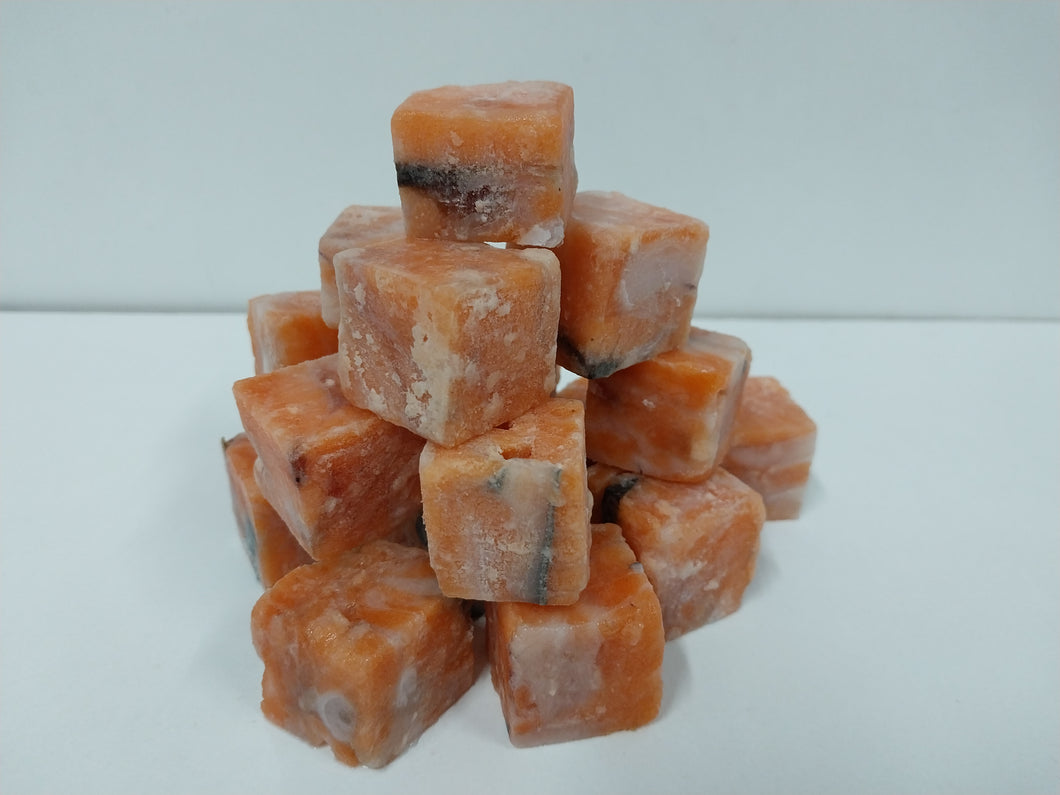 Salmon Bites