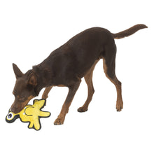 Load image into Gallery viewer, INDIE &amp; SCOUT TOUGH EYEBALL MONSTER
