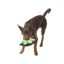 Load image into Gallery viewer, INDIE &amp; SCOUT TOUGH ROUND MONSTER
