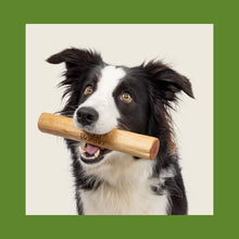 Load image into Gallery viewer, BONNO MANUKA CHEW XL
