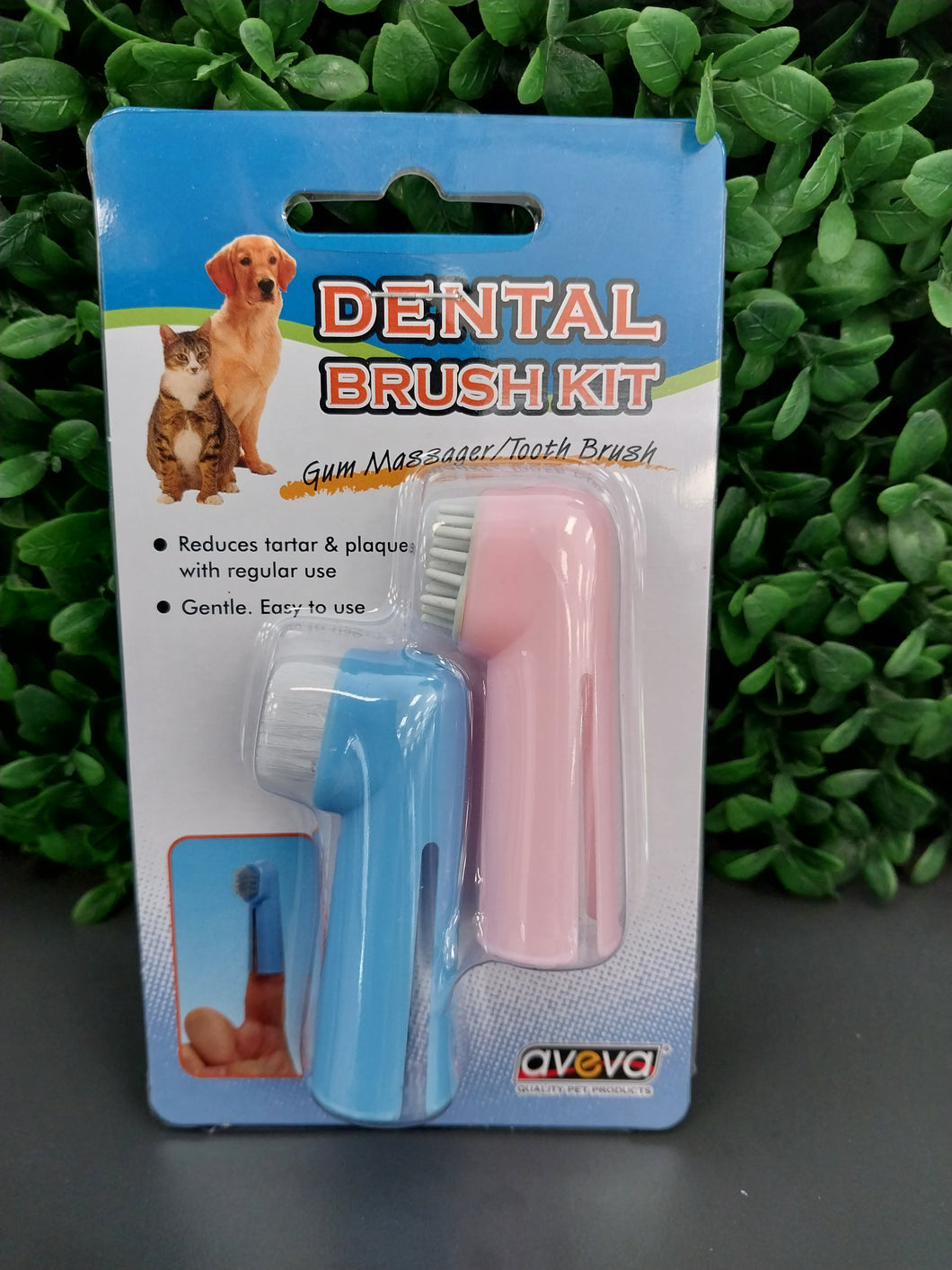 ORAL HYGIENE KIT