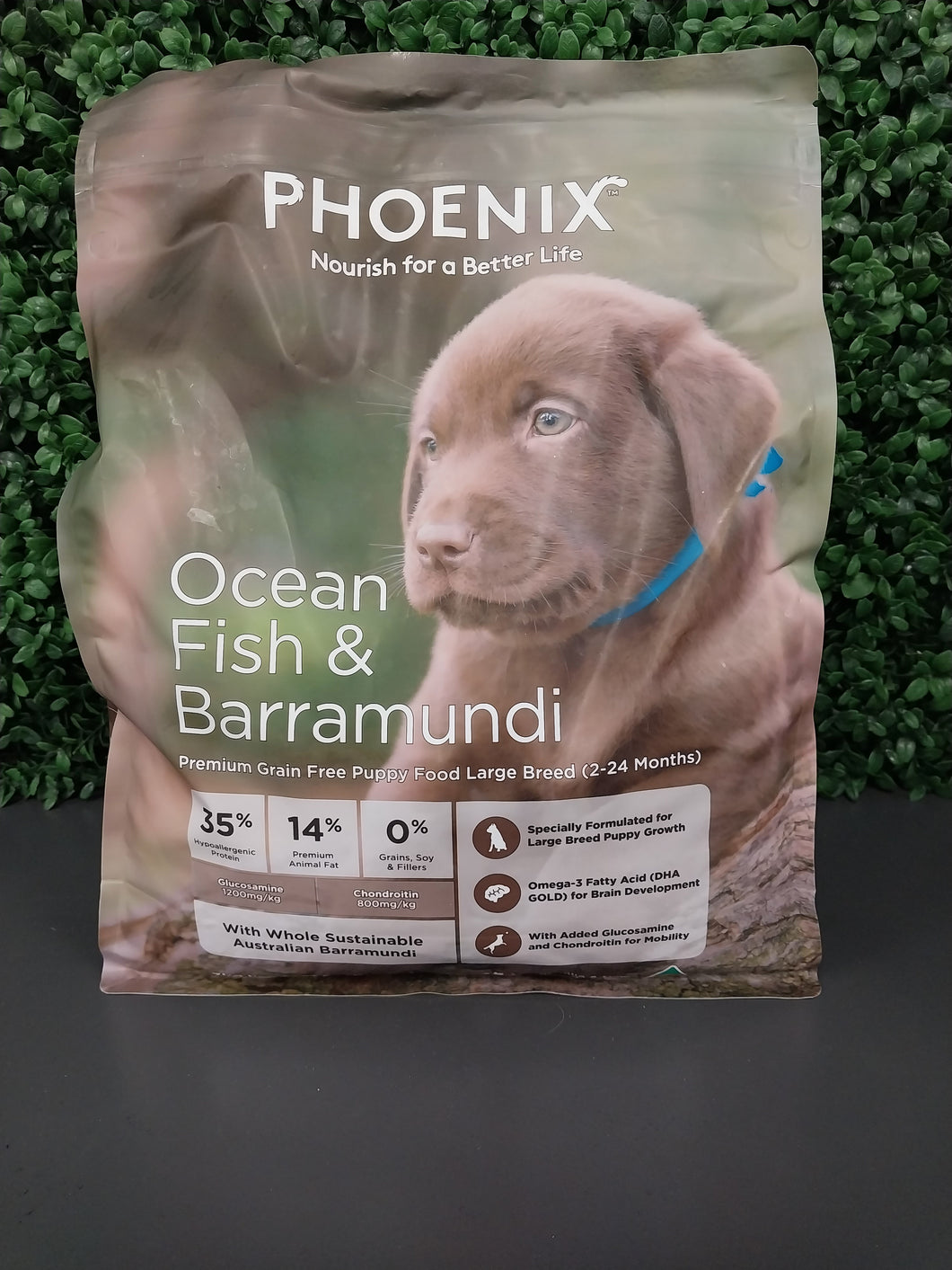 PHOENIX OCEAN FISH LARGE BREED PUPPY 3KG