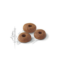 Load image into Gallery viewer, ROYAL CANIN FIT32 2KG
