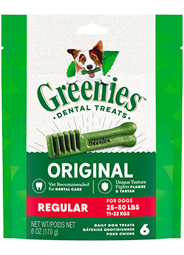GREENIES DENTAL CHEW REGULAR 170gm