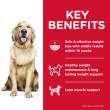 Load image into Gallery viewer, HILL&#39;S CANINE PERFECT WEIGHT 1.8kg
