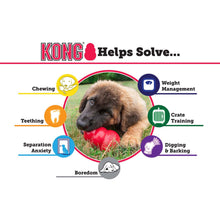 Load image into Gallery viewer, KONG PUPPY MEDIUM
