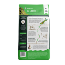 Load image into Gallery viewer, ADDICTION DOG FOOD LE LAMB 9kg
