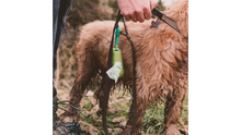 Load image into Gallery viewer, Beco Poop Bag Holder with compostable bags
